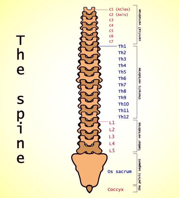 lumbar osteohondrosis